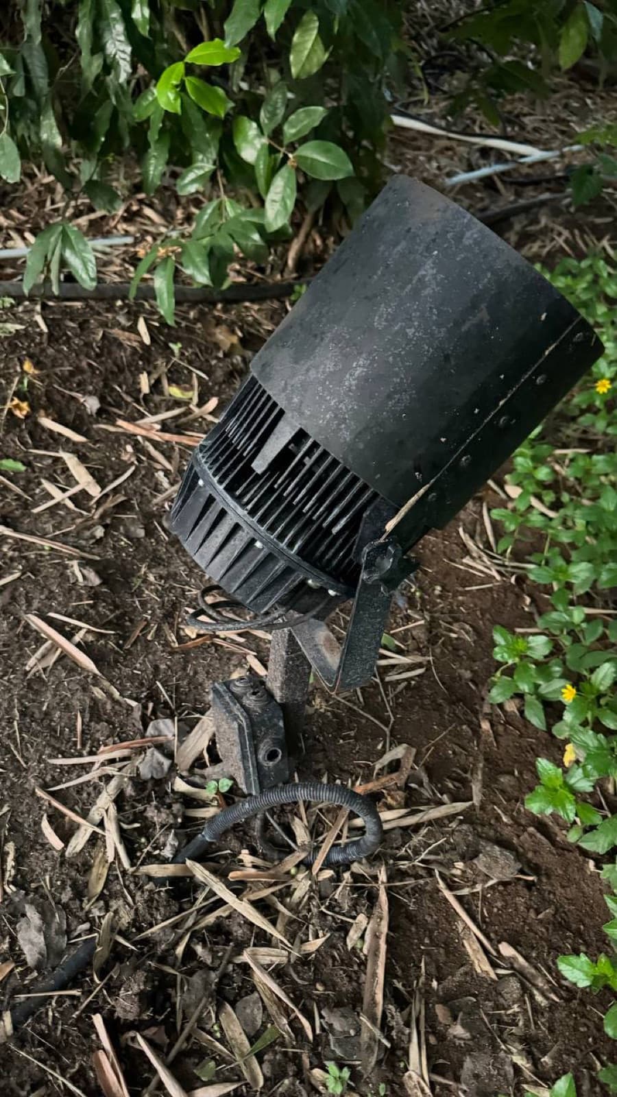 A single black ground-mounted light fixture nestled in dirt and dry leaves at the edge of the path.