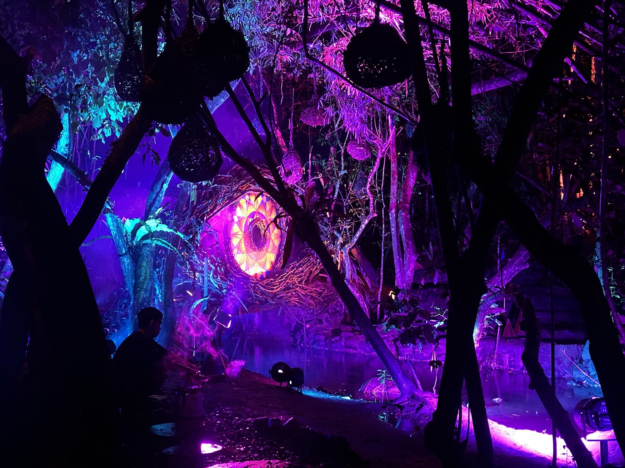 Aurora Park after dark, with cyan and magenta light revealing the forest installation