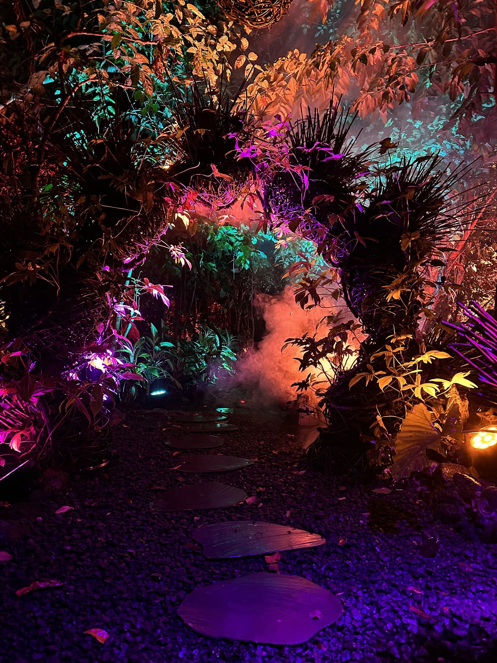 An illuminated path through dense tropical planting in Aurora Park